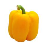 Paprika gelb aus Bayern