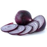 Zwiebeln rot neue Ernte