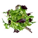 Asia-Salat aus Franken ca. 125g