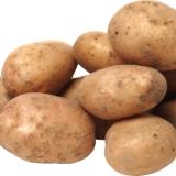 Kartoffeln mehlig aus Franken