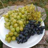 Trauben-Mix aus Franken ca. 500g