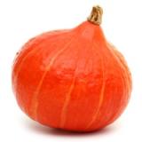 Kürbis Hokkaido orange vom Landgut