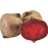 Rote Bete vom Landgut