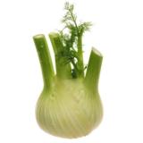 Fenchel