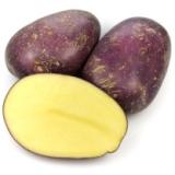 Kartoffeln vfk Laura rotschalig Landgut