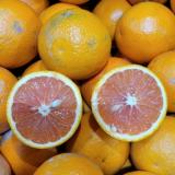 Gemüseretter: Saftorangen unbehandelt