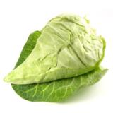 Spitzkohl neue Ernte