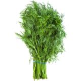 Dill REGIO