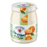 Joghurt Orange 150g im Glas
