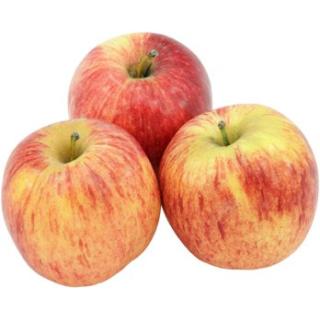 Äpfel Ariwa aus Franken