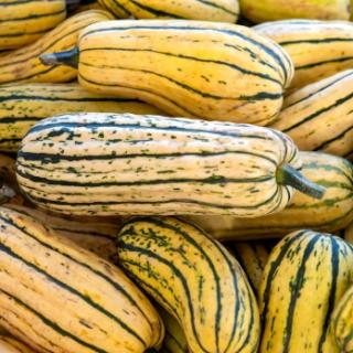 Backkürbis Delicata aus Bayern