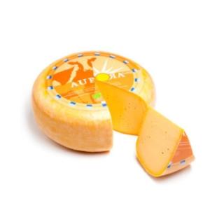 Möhrengouda