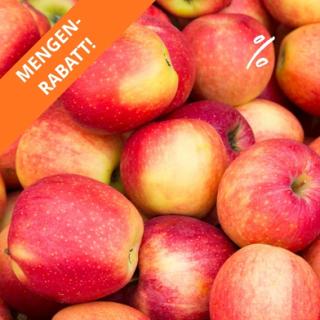 Äpfel Santana aus Franken ca. 2,5 kg