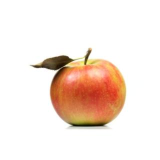 Äpfel Jonagold aus Franken