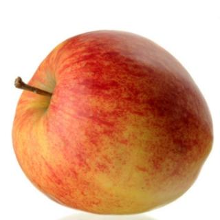 Äpfel Elstar aus Franken