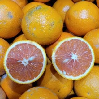 Gemüseretter: Saftorangen unbehandelt