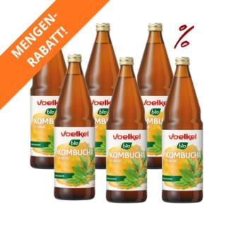6x Kombucha