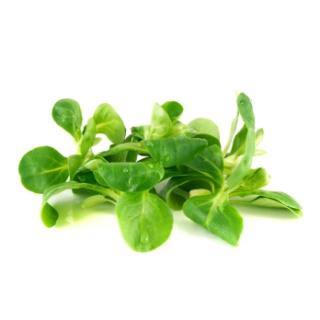 Feldsalat ca. 125g REGIO