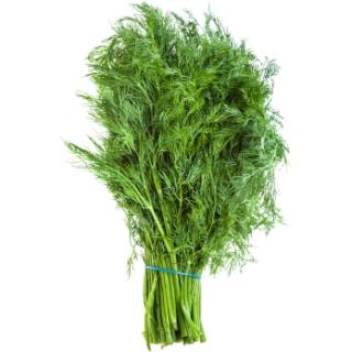 Dill im Bund REGIO