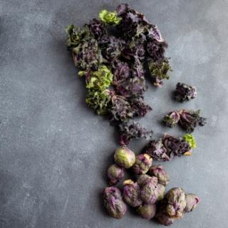 Flower Sprouts Kohlröschen ca. 200g