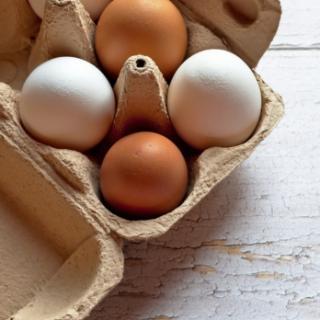 Eierretter 6er Pack MHD 16.09.