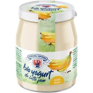Joghurt Banane 150g im Glas