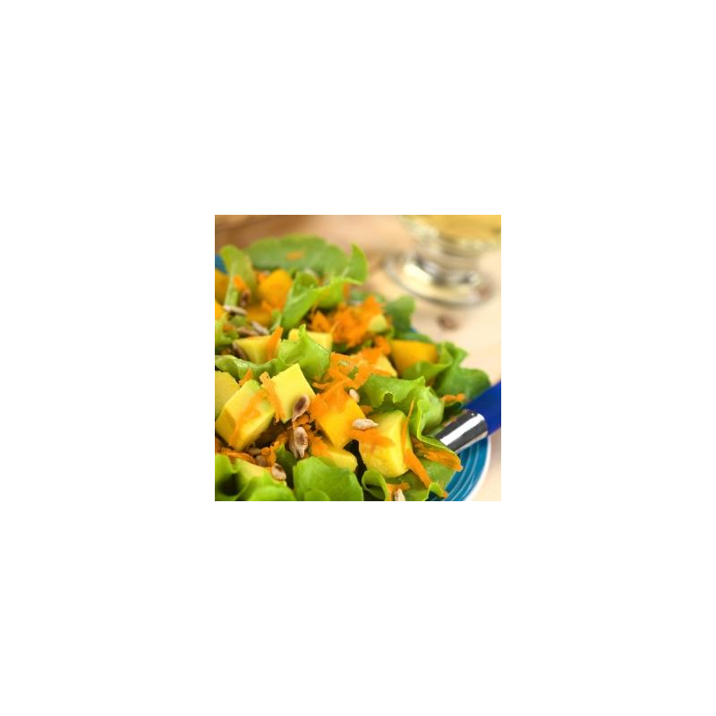 Mango-Avocado-Salat