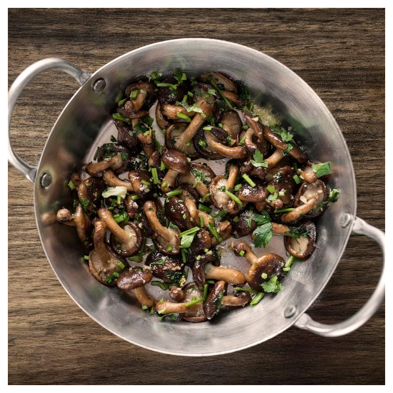 Shiitake, der König der Speisepilze