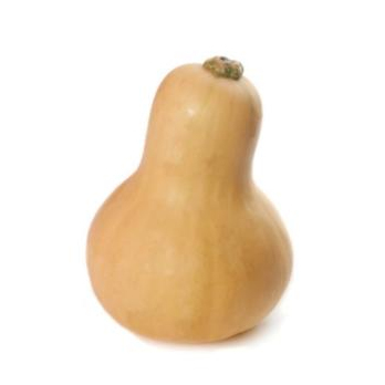 Kürbis Butternut aus Franken