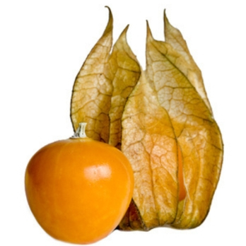 Physalis aus Bayern ca. 125g