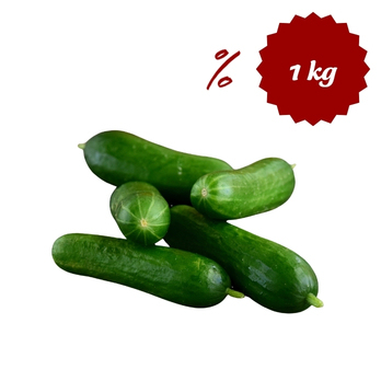 Minigurken aus Franken ca. 1kg