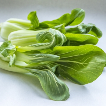 Pak Choi REGIO
