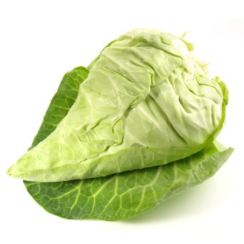 Spitzkohl weiß aus Franken