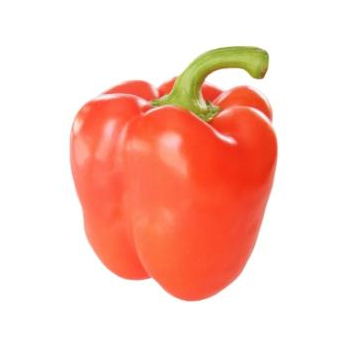Paprika rot vom Landgut
