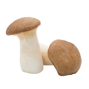 Kräuterseitlinge REGIO ca. 200g