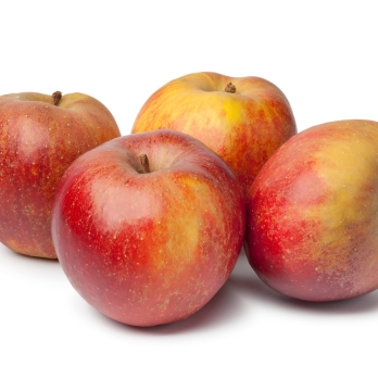 Äpfel Boskoop aus Franken