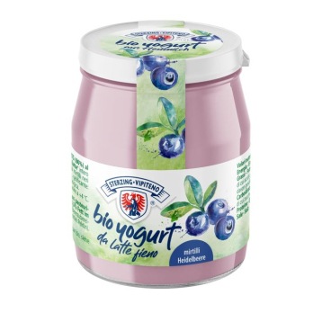 Joghurt Heidelbeer 150g im Glas