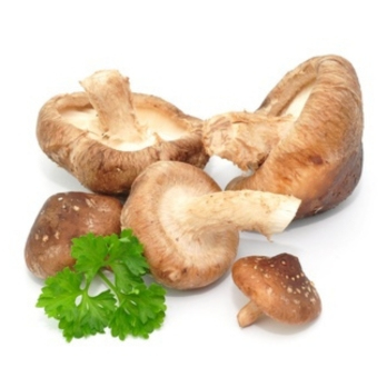 Pilze Shiitake ca. 200g