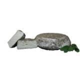 Kolsasser Salbei in der Käsetüte