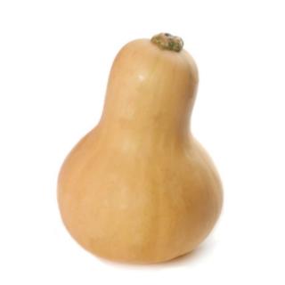 Kürbis Butternut