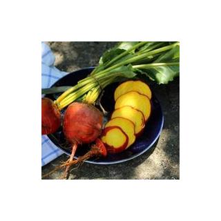 Gelbe Bete Bund vom Landgut