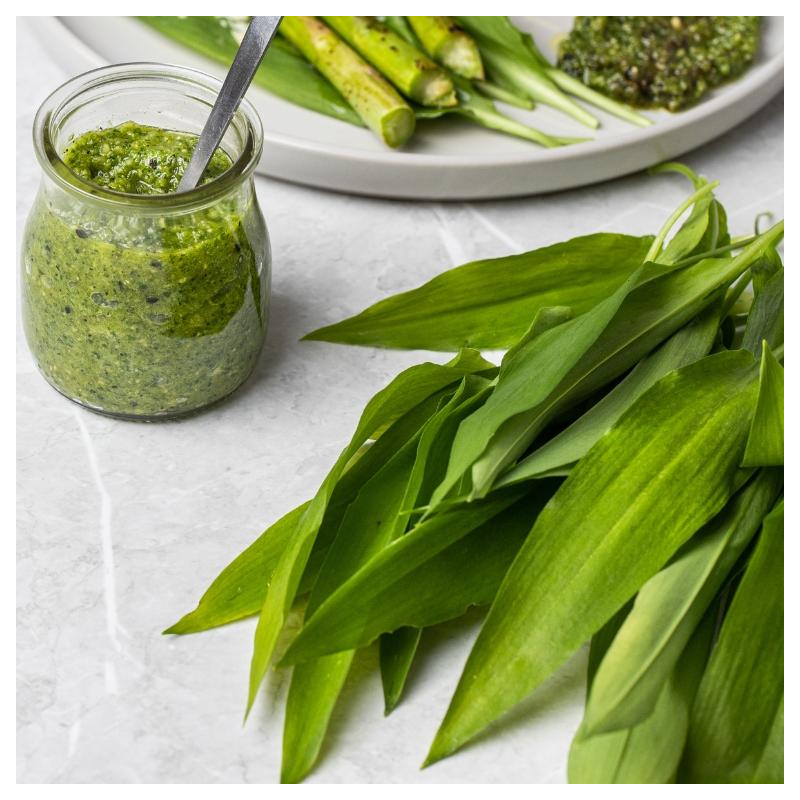 Bärlauchpesto