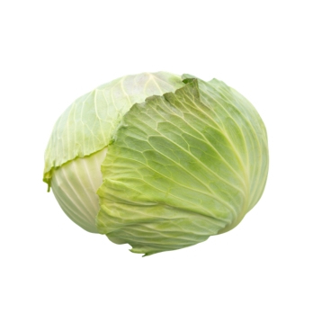 Weißkraut aus Franken