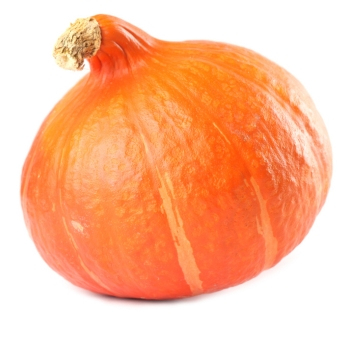 Kürbis Hokkaido aus Bayern