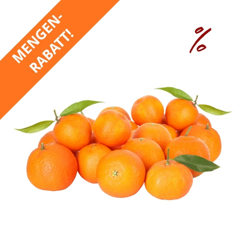 Orangen Valencia ca. 2,5 kg