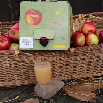 5l Apfelsaft regional Streuobst