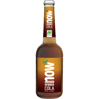now Orange Cola 10 Flaschen