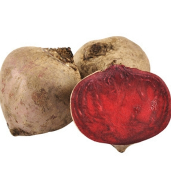 Rote Bete aus Bayern