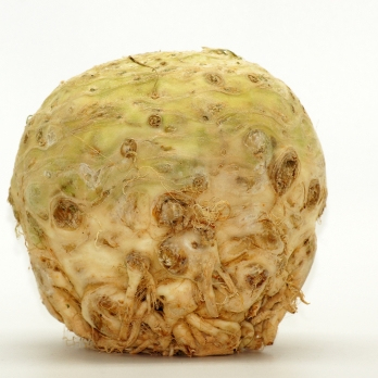 Knollensellerie aus Bayern