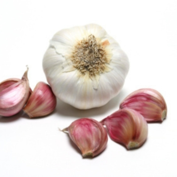 Knoblauch